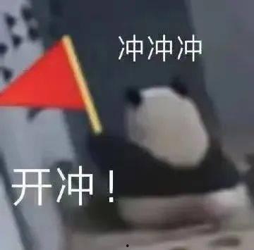 冲哥每日一冲最新爆料,最新爆料背后的惊人真相